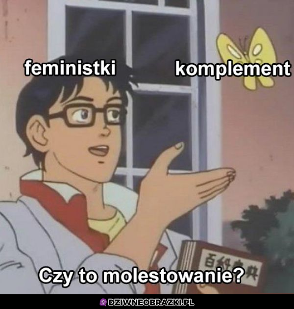 Feministki