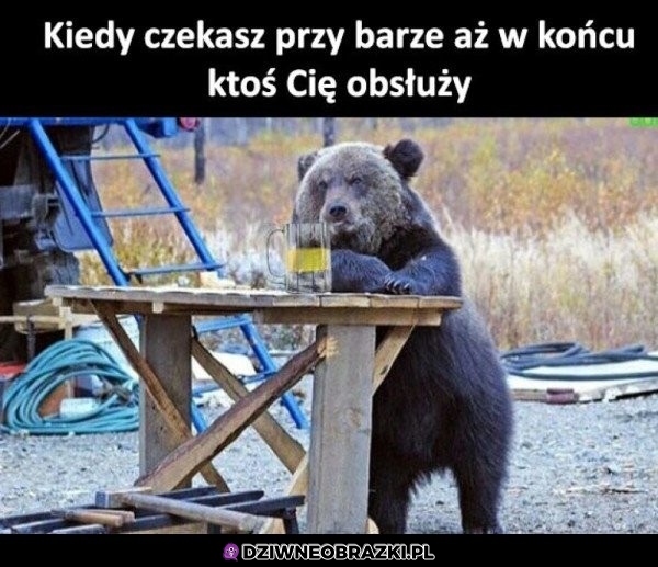 Doczekam sie czy nie?