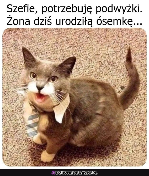 Potrzebna podwyżka