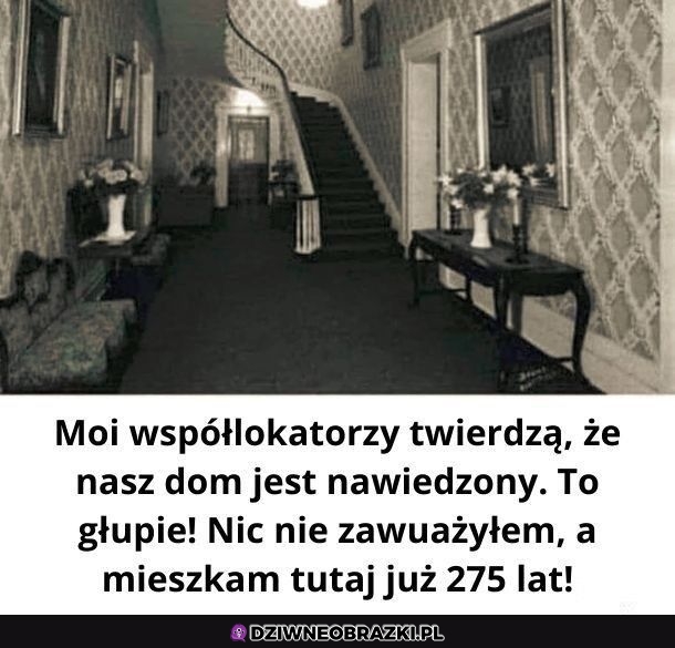 Zaraz nawiedzony