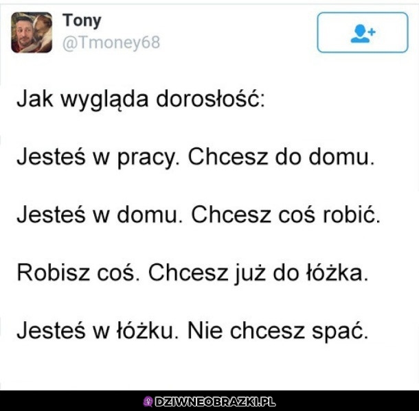 Dorosłość