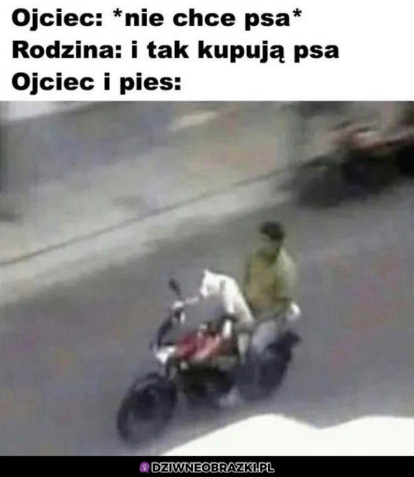 Kiedy ojciec nie chce psa