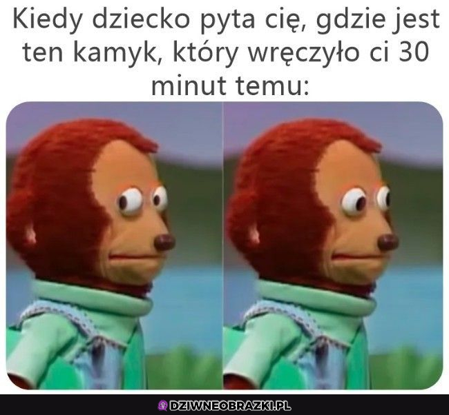 A Ty świecisz oczami