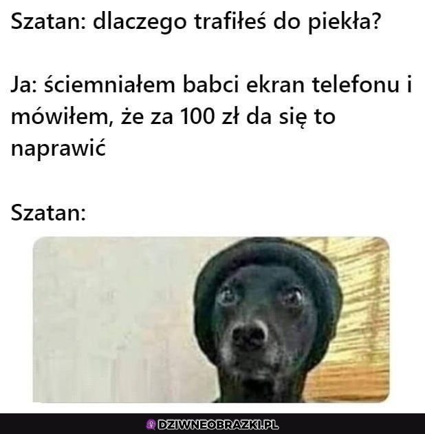 O ty gnoju