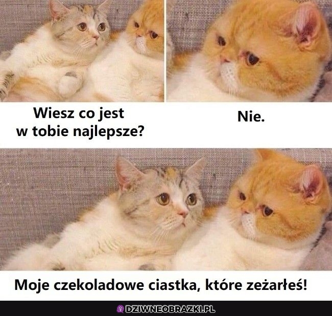 To jest najlepsze