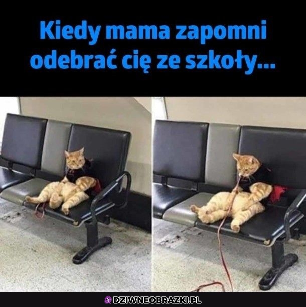 Ten moment