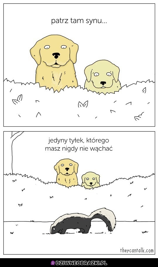 Lekcja życia