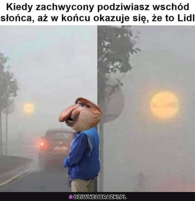 Ten moment Ten moment