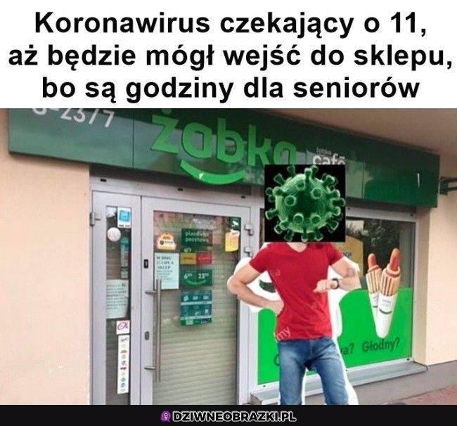 Grzecznie czeka