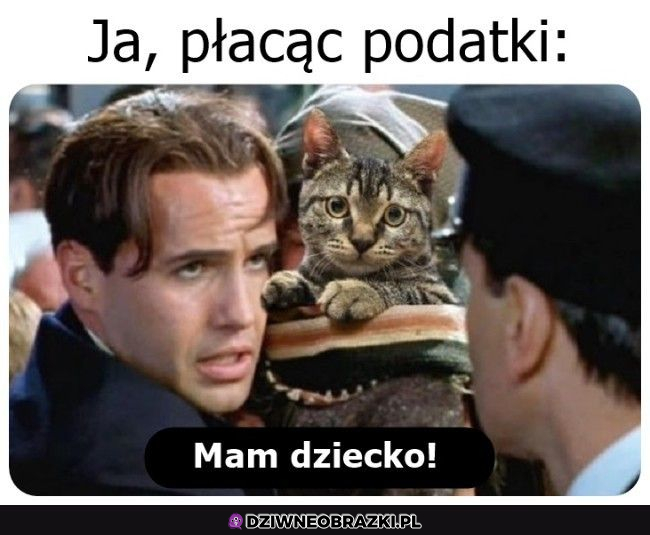 ja płacąc podatki