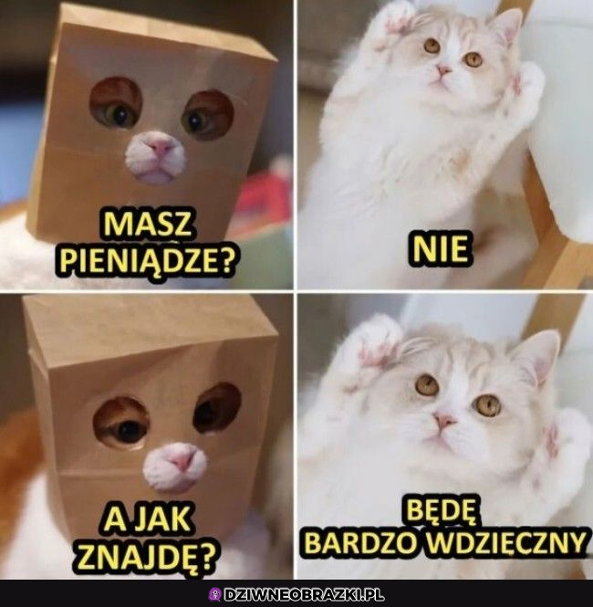 Masz kasę?