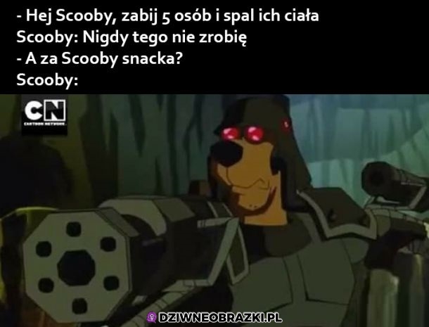 Rozkaz przyjęty