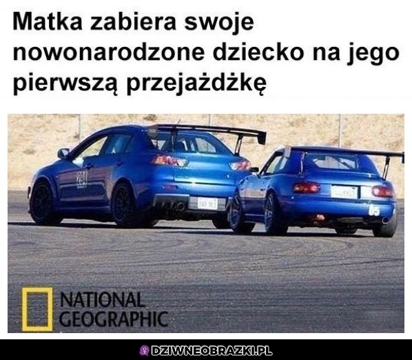 Piękny obrazek