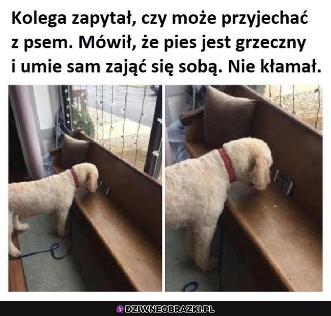 Lepiej niż z dziećmi