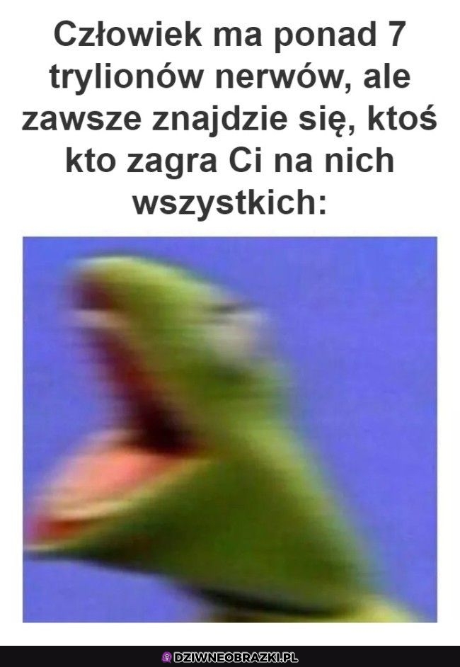 Ta jedna osoba