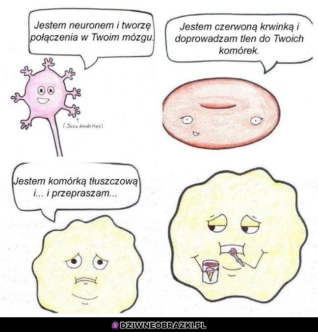 Spoko, rozumiem