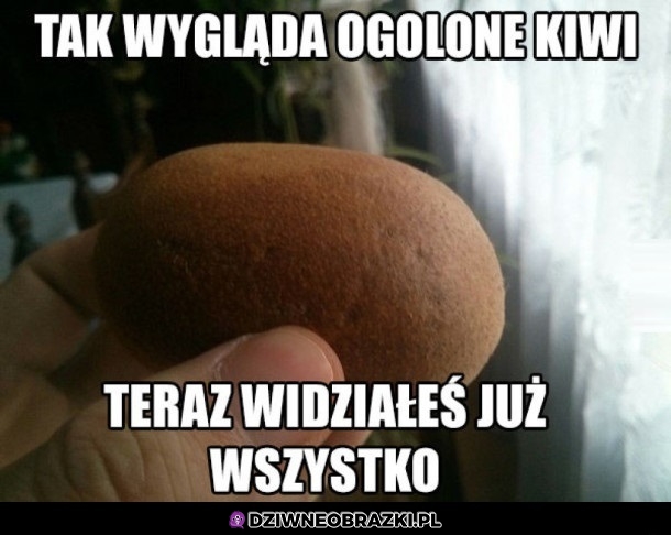 Ogolone kiwi