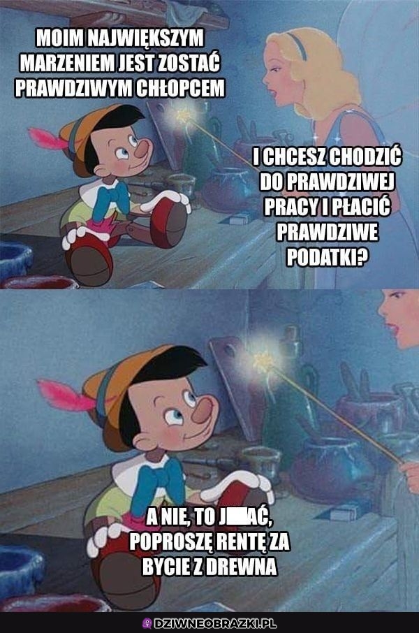 Też bym to wybrał