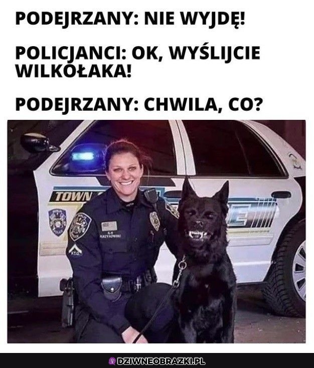 Agent specjalny