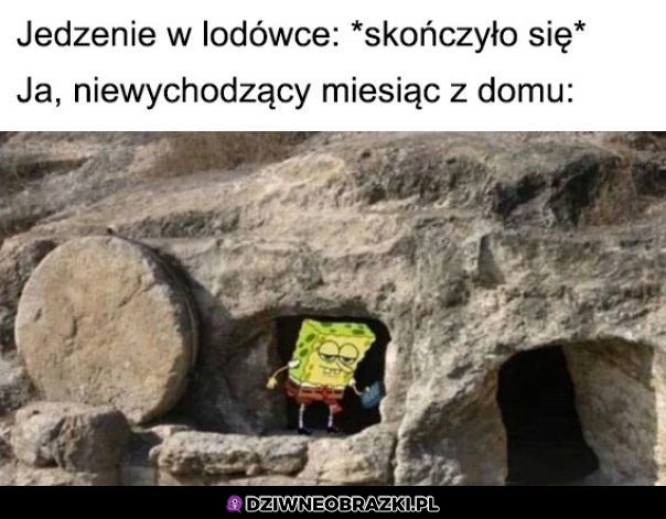 Czas wyruszyć na łowy