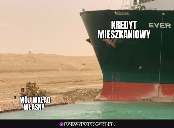 Tak go widzę