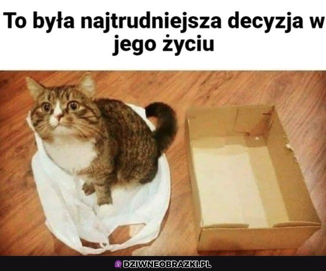 Dokonał wyboru