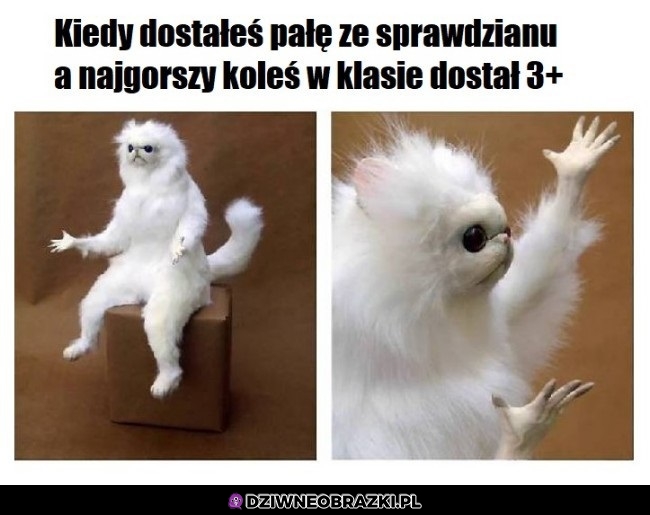 Ale jak?