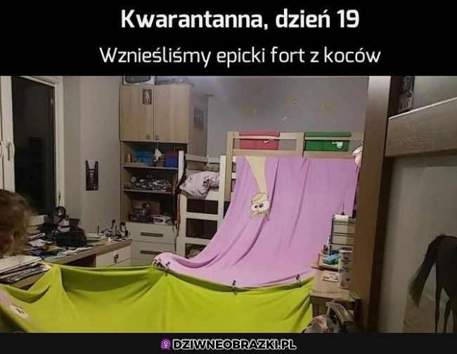 Niezły, niezły