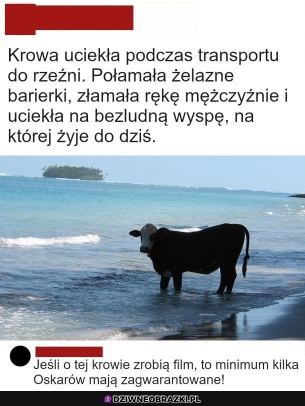 I to jest materiał