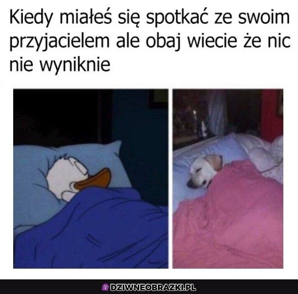 No i fajnie