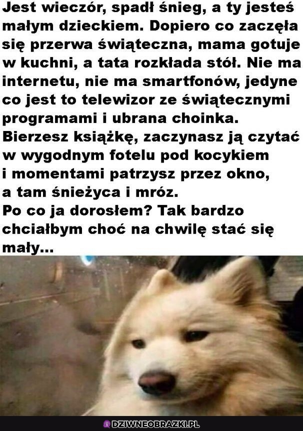 Wiem, że też chcesz