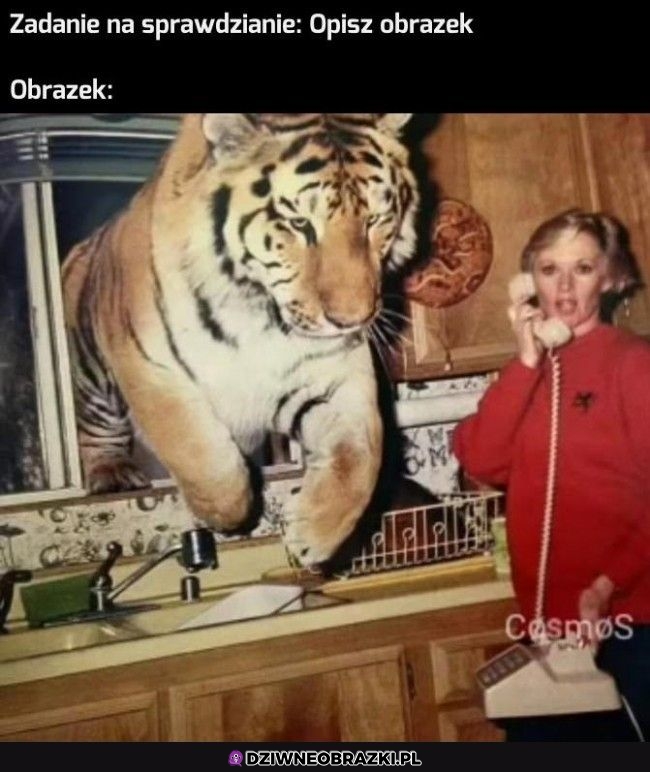 Opisz obrazek