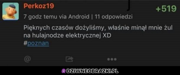 Cudowne czasy