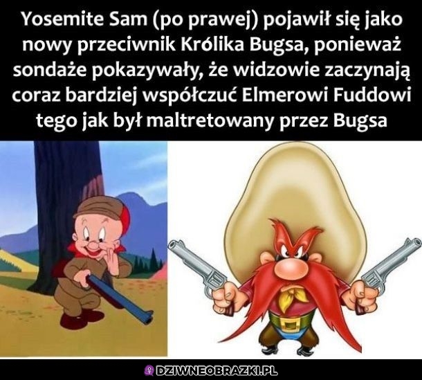 Ciekawostka