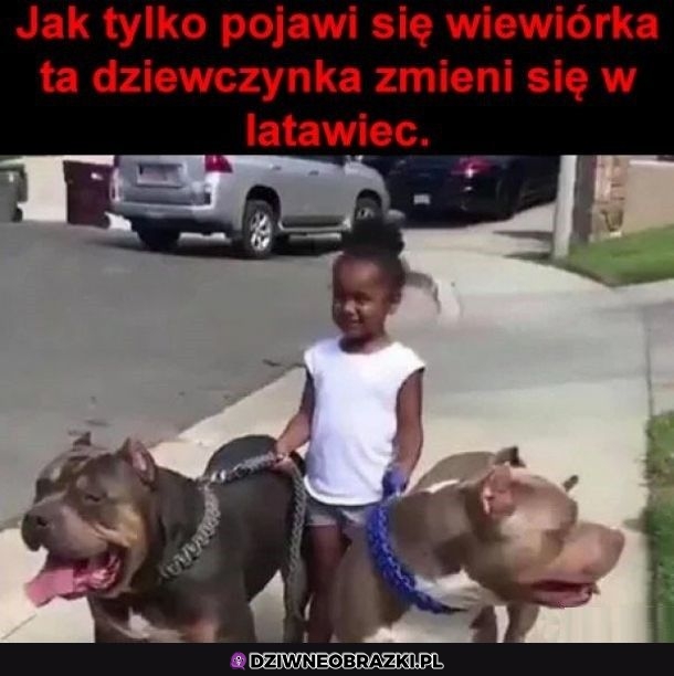 Kto tu kogo wyprowadza