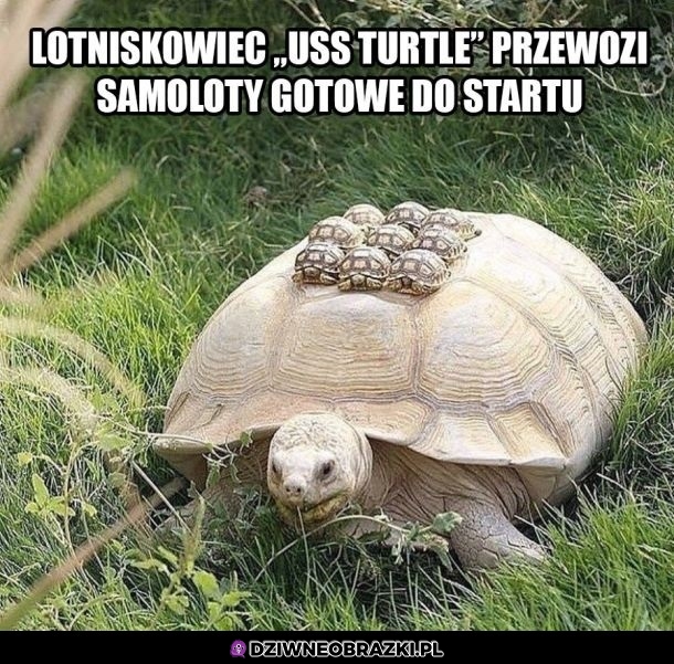 Lotniskowiec nadciąga