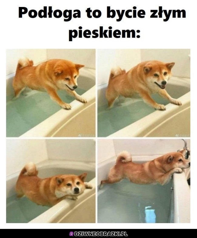 Pieseł