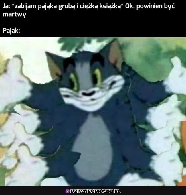 No nie wiem