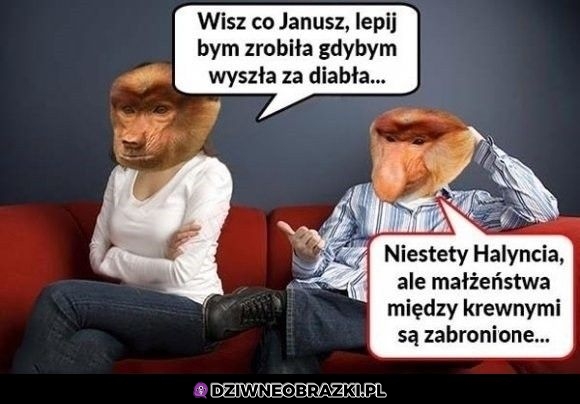 No niestety nie da się