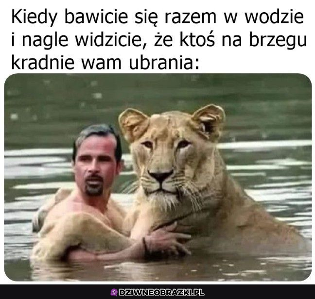 oddawaj złodzieju!