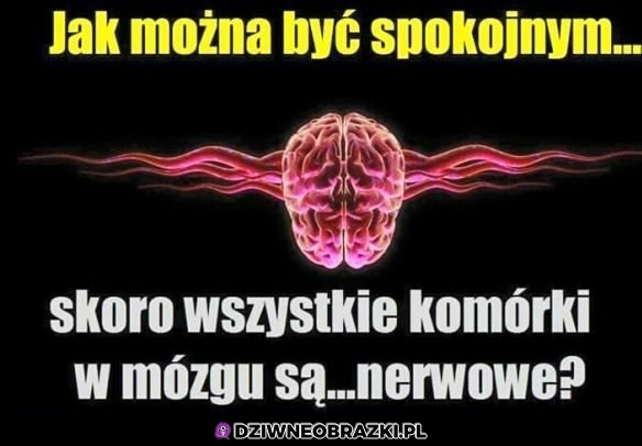 Komórki w mózgu