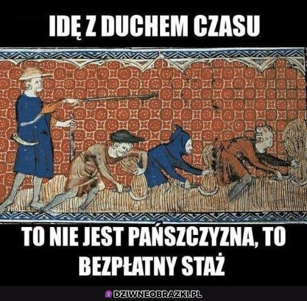 bezpłatny staż