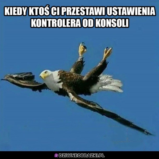 Co się dzieje