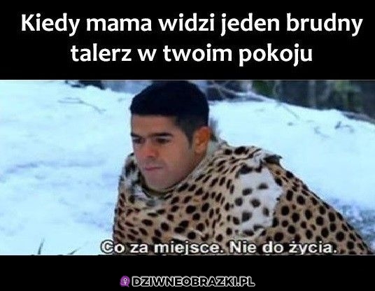 Ten moment