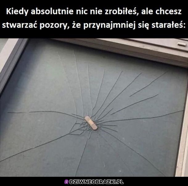 Pozory