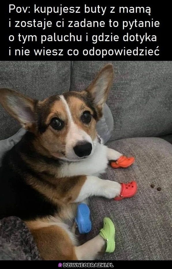 Dalej nie wiem