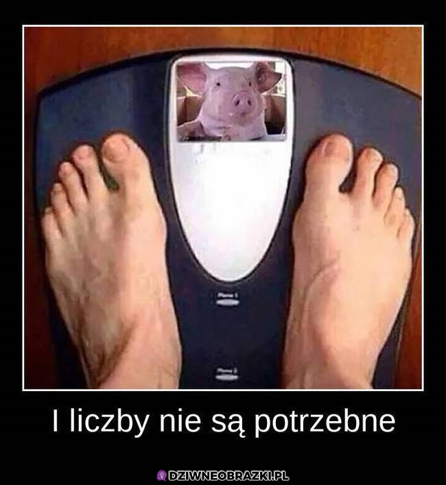 Wskaźnik