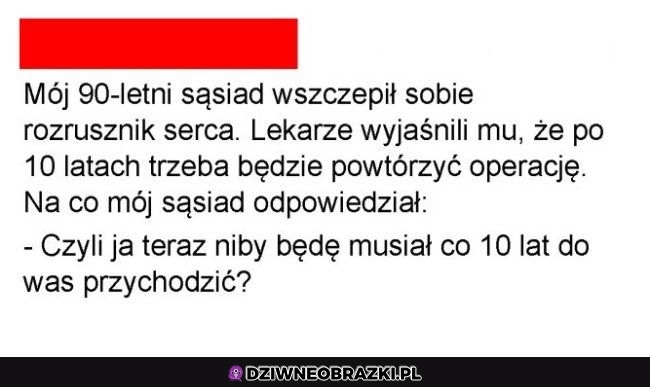 Optymista