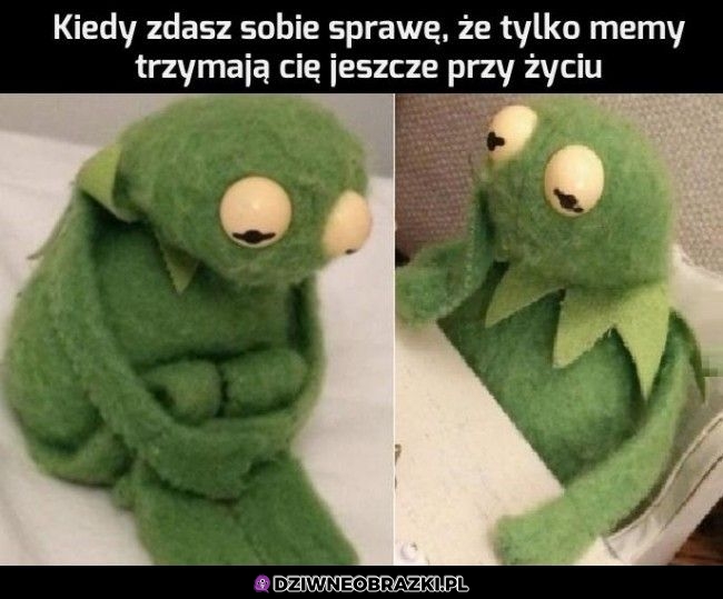 Jedyne co mnie chroni