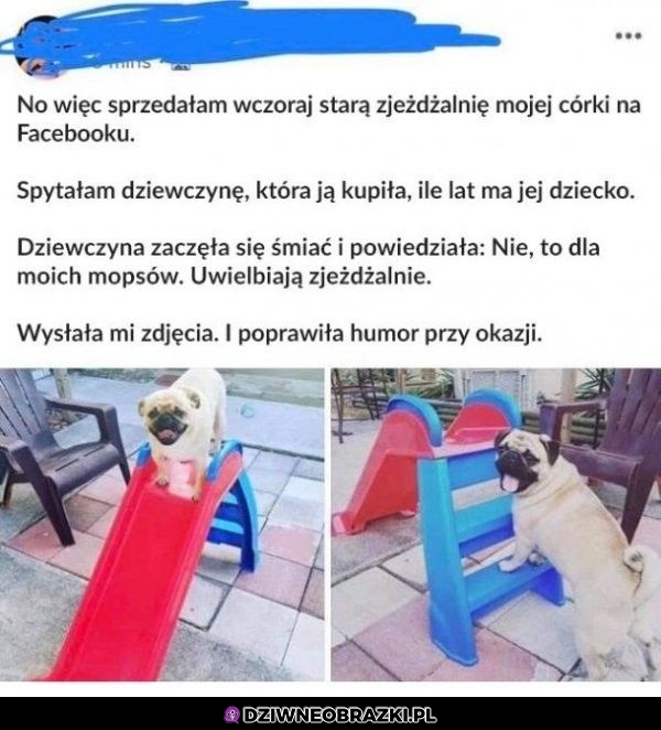 Stara zjeżdżalnia
